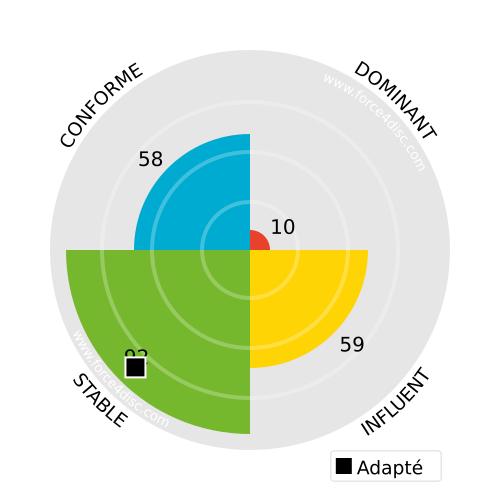 Adapted profile