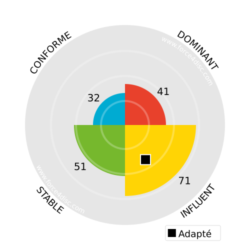 Adapted profile