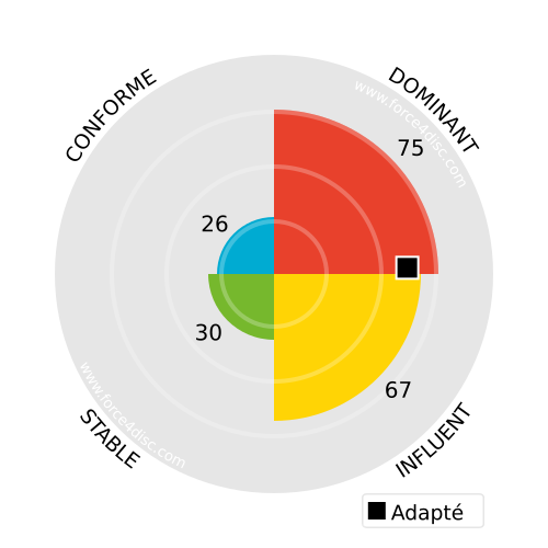 Adapted profile