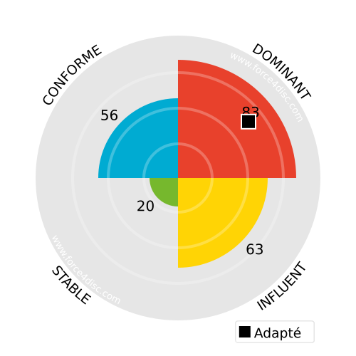 Adapted profile